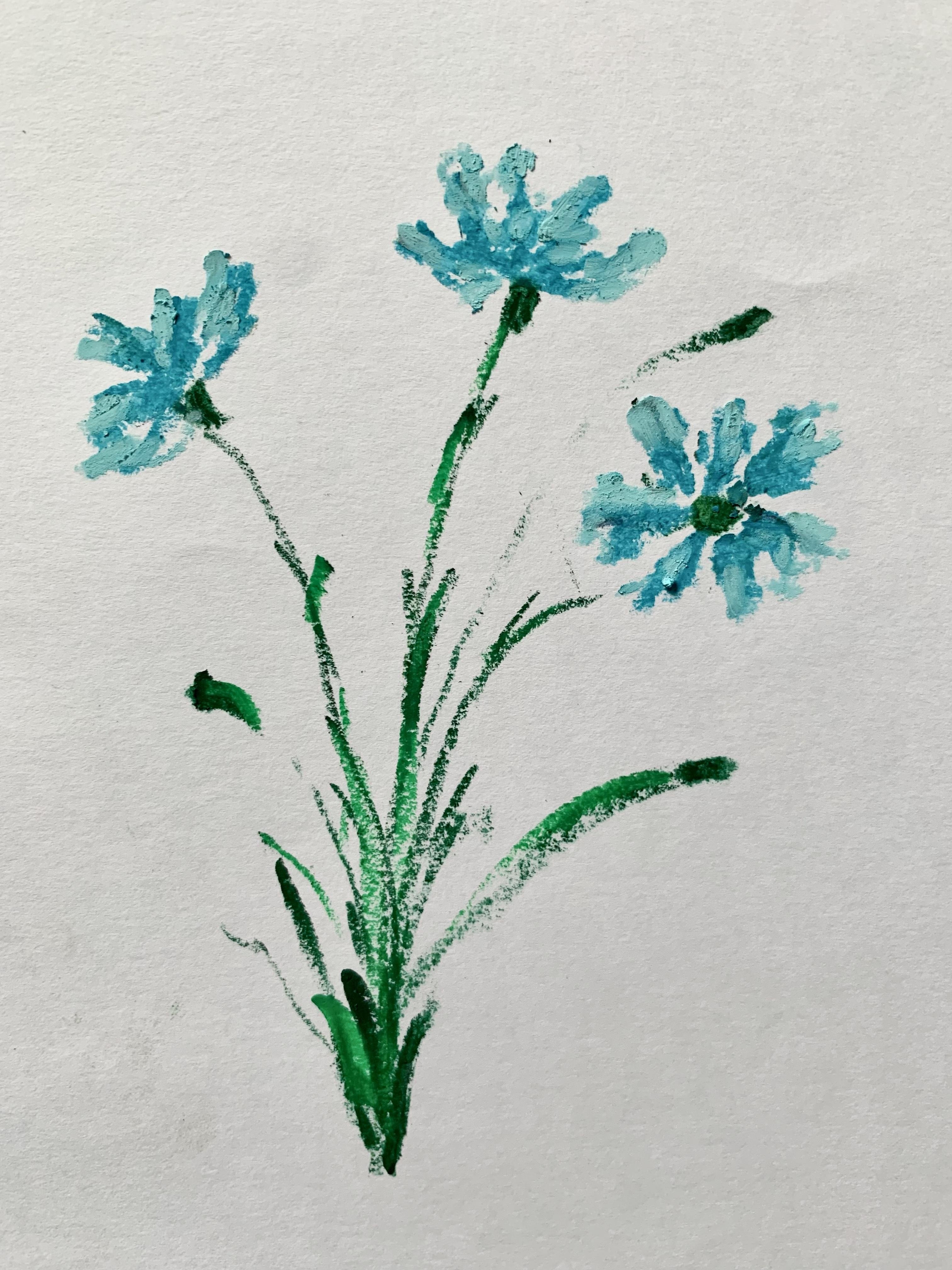 oil pastel drawing - student project