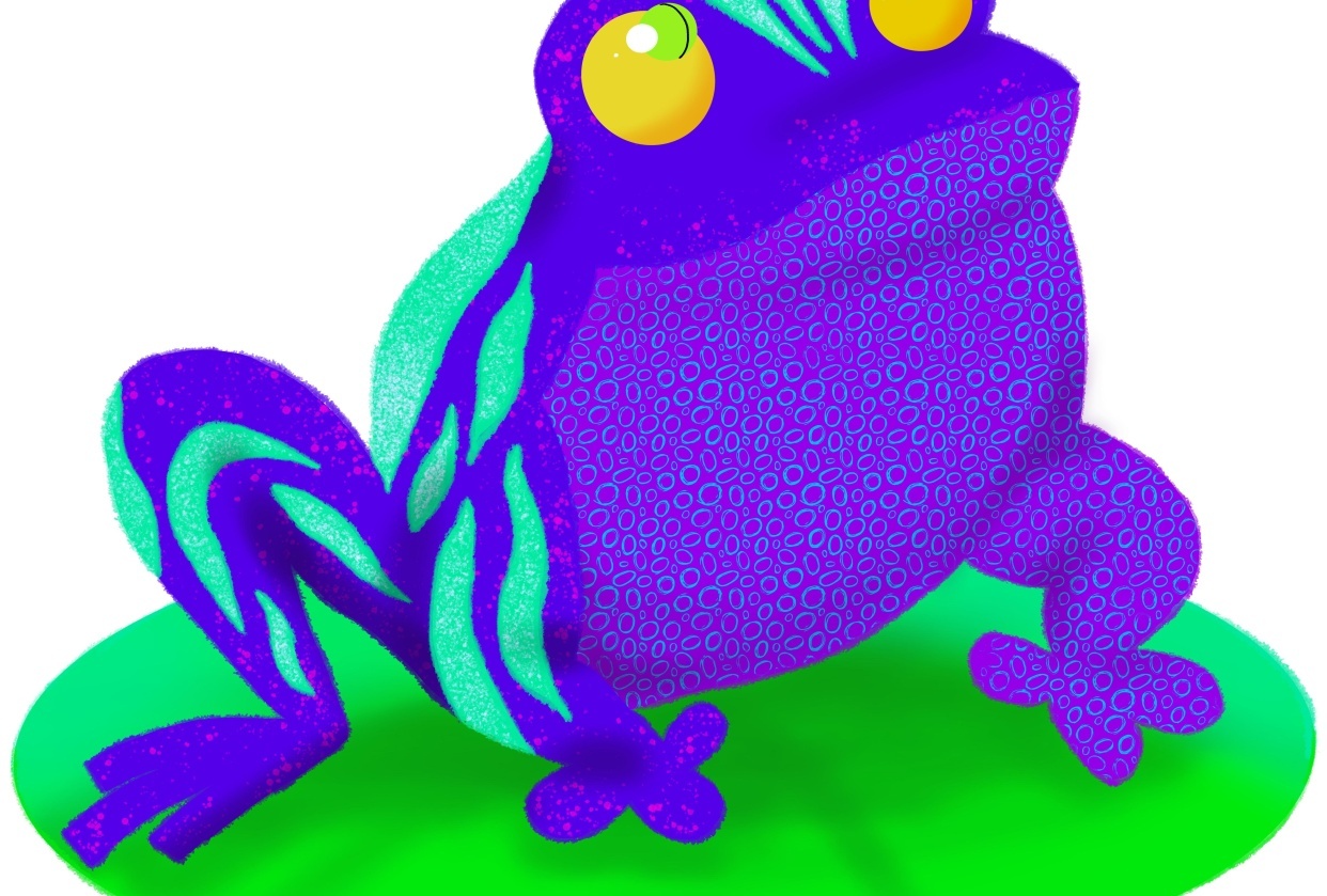 Colorful frog - student project