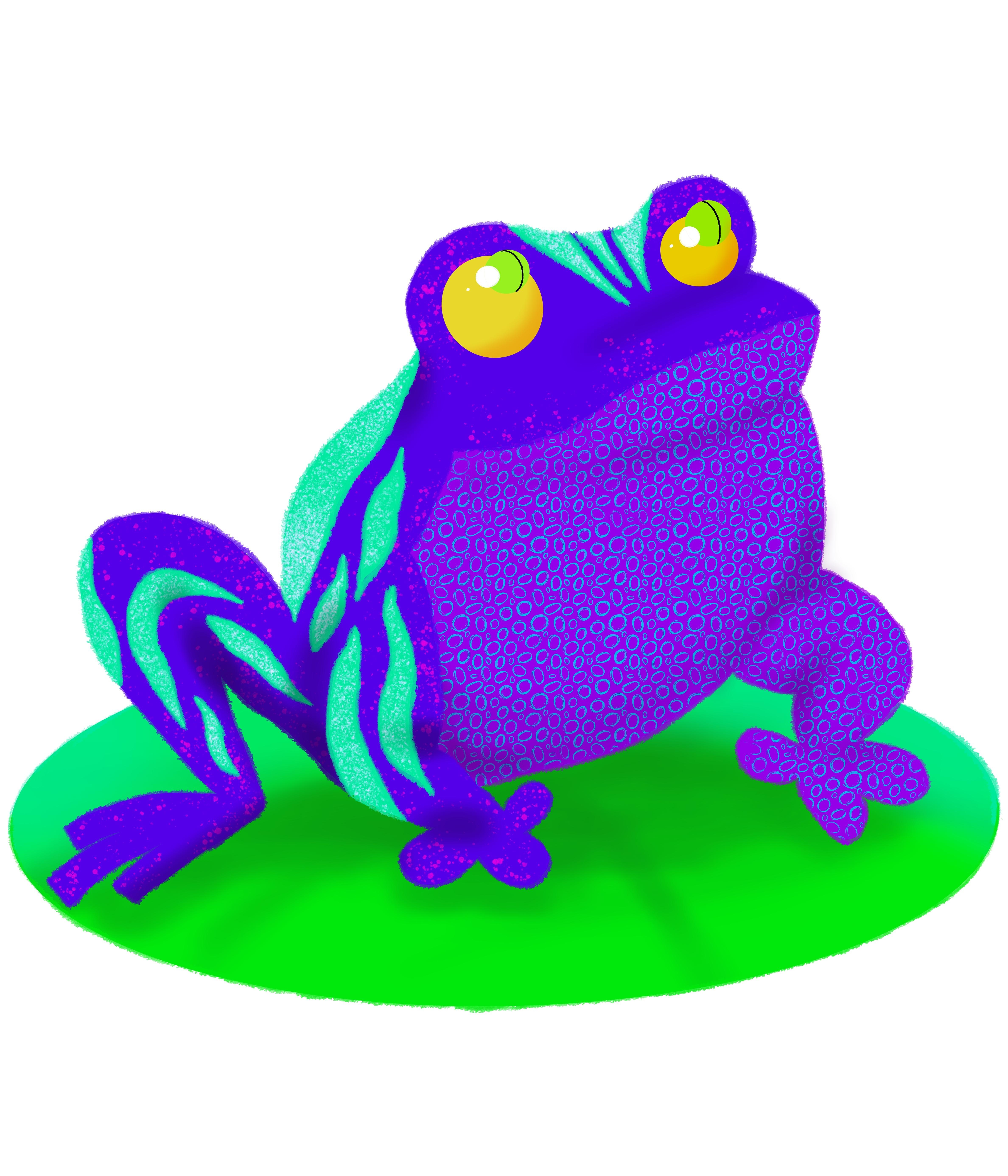 Colorful frog - student project