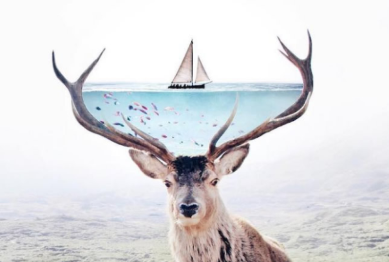 Photo manipulation project