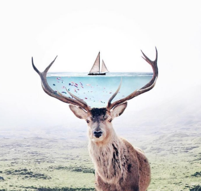 Photo manipulation project - student project