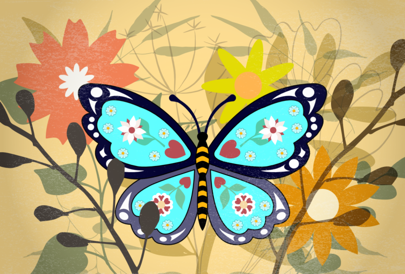 AD5 Plan and Set Up a Reflected Butterfly in Affinity Designer