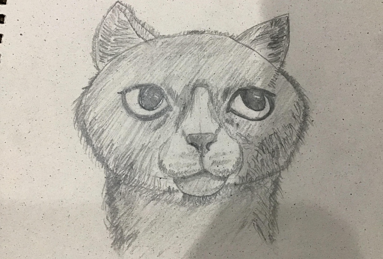 The Cats - student project