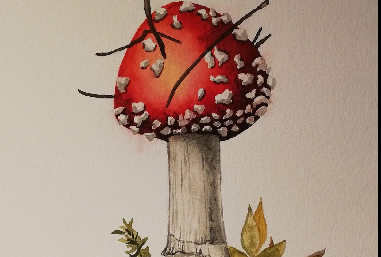 Fly agaric - student project