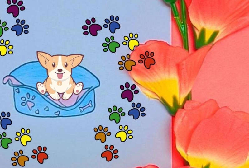 Dog Bed Drawing