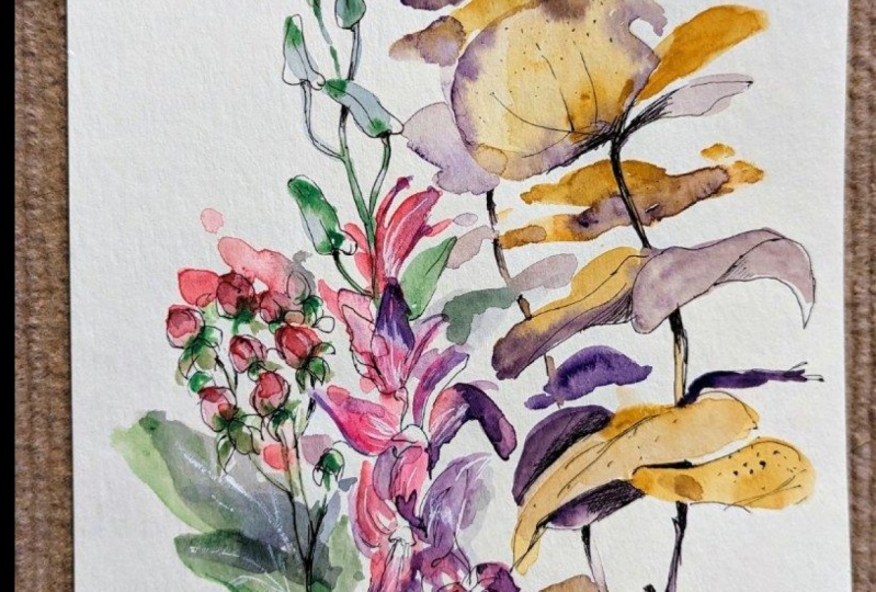 Botanical illustration
