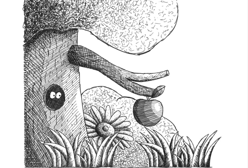Fineliners and Ballpoint pen projects