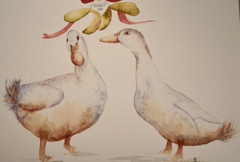 Festive ducks
