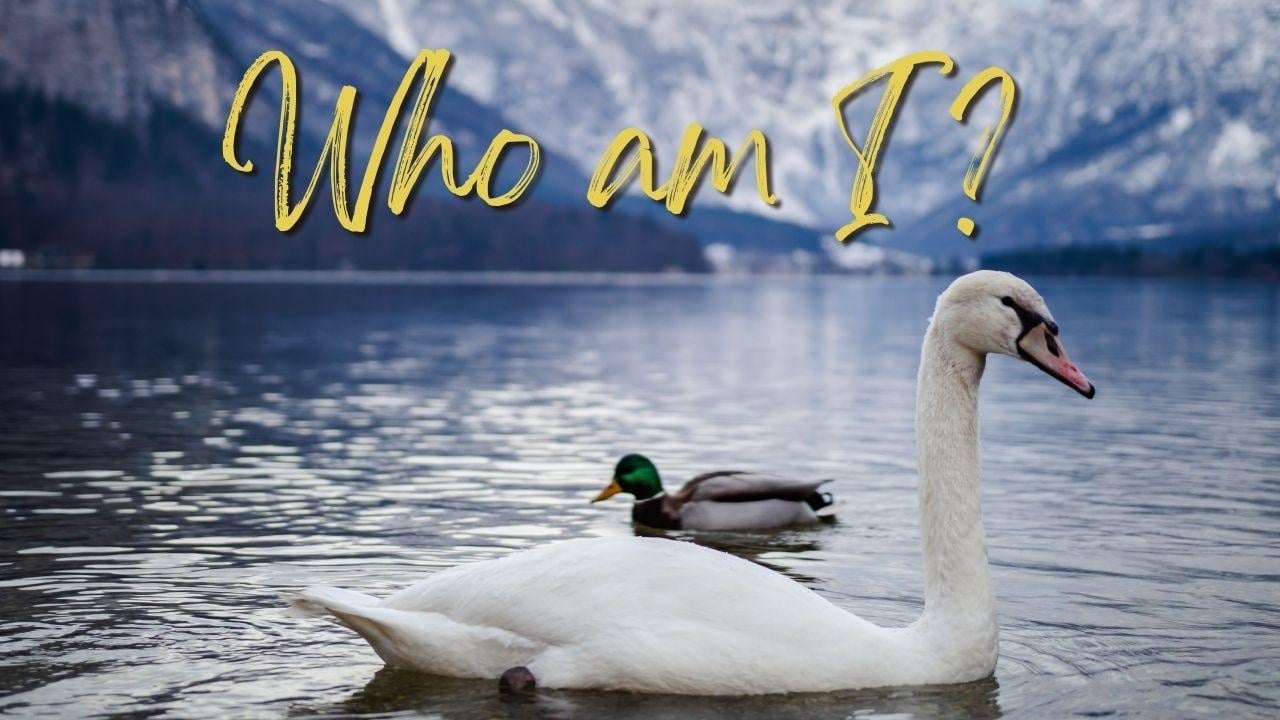 Logline - Who am I? - student project