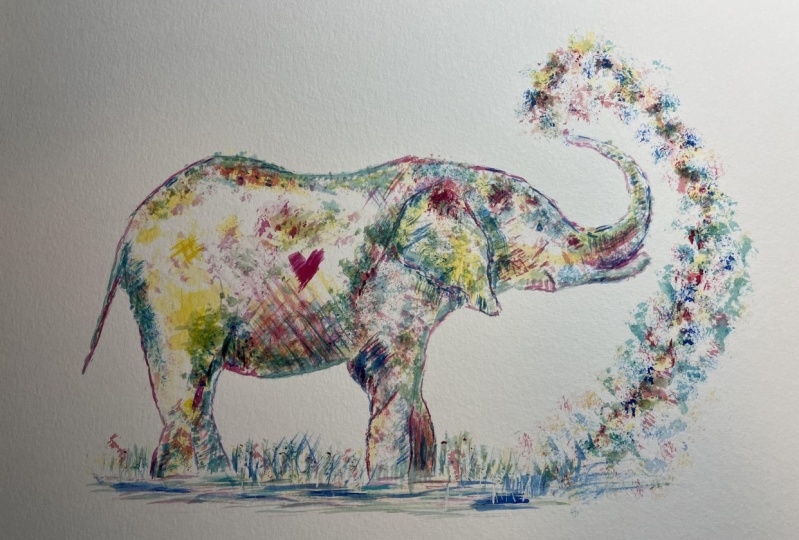 My Elephant