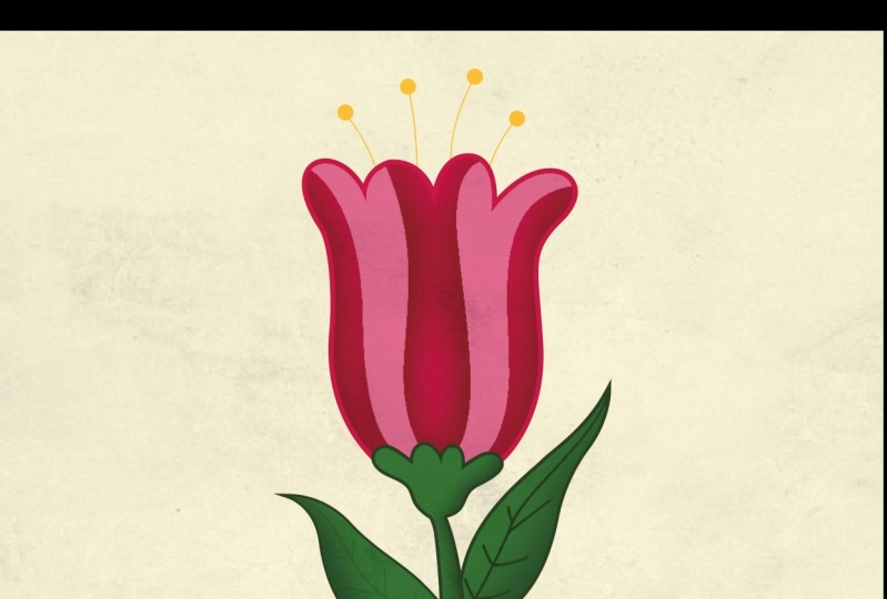 Rose Flower Design