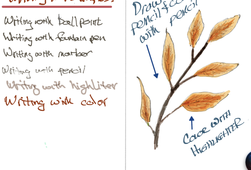 Digital learning sketchbook