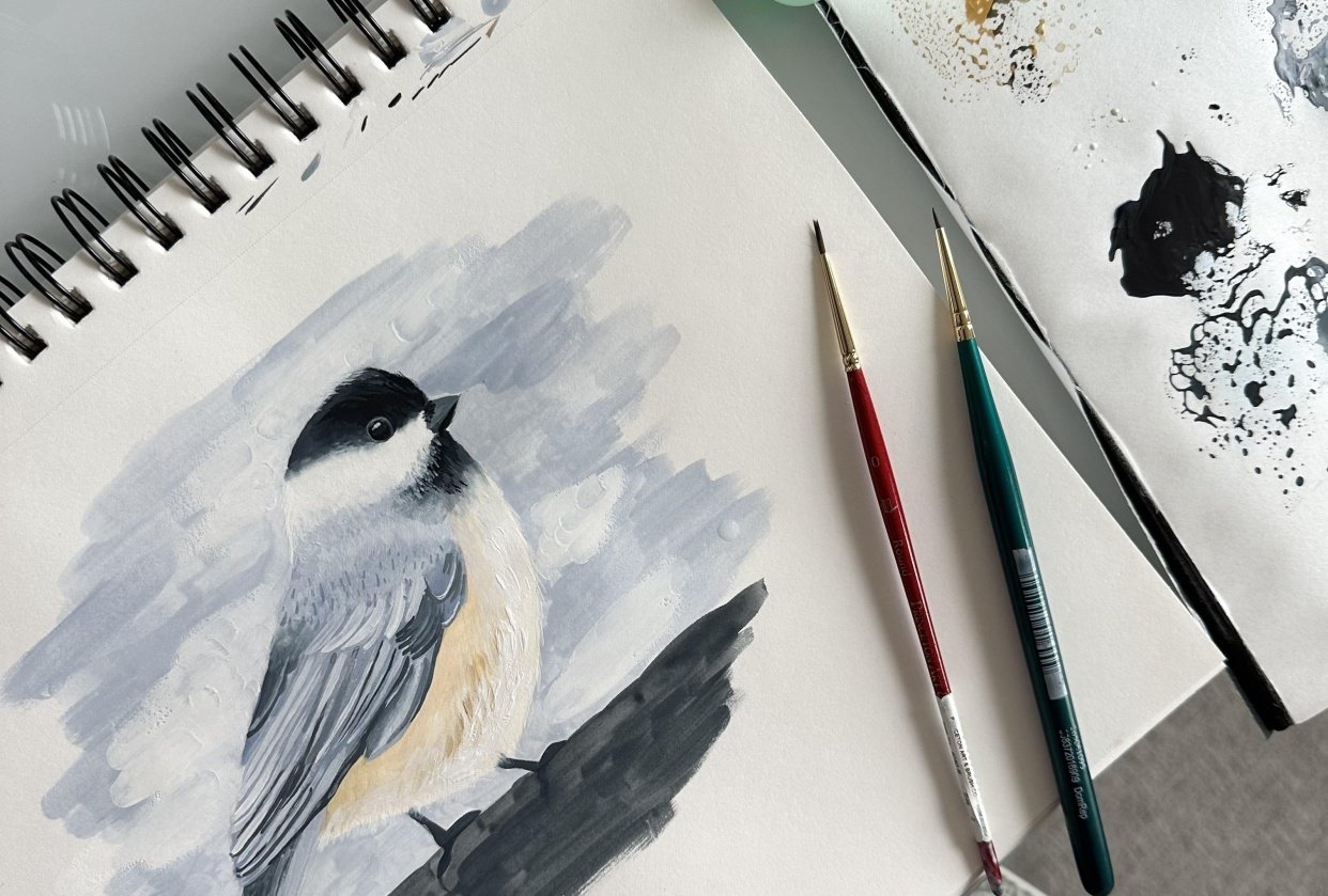 Black capped chickadee - student project
