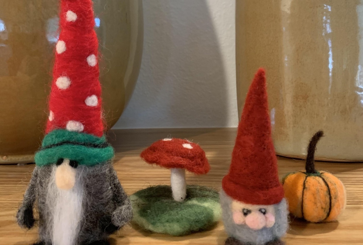 Gnome project and Companion - student project