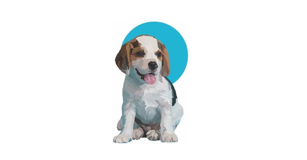Digital Dog - student project