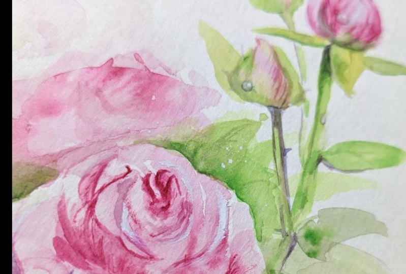 Loose painting of roses