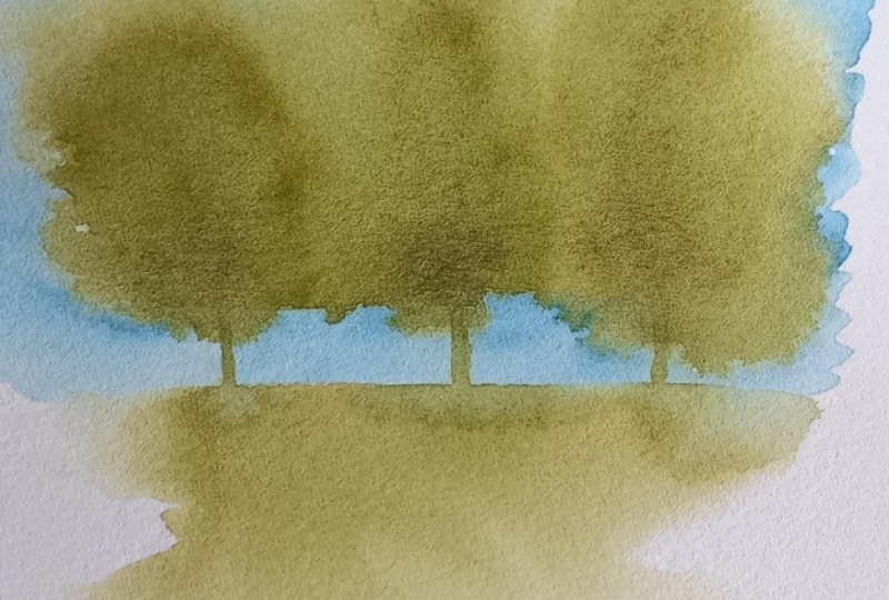 Trees