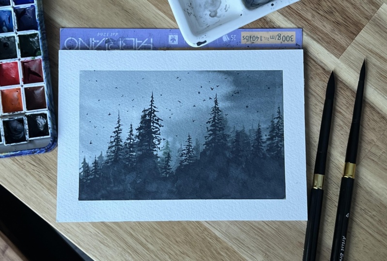 Misty Morning Forest