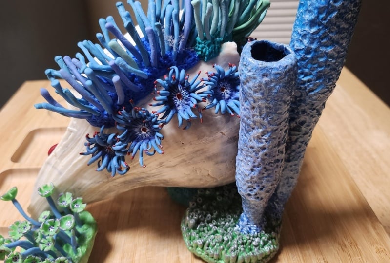tubes and anemones on real seashell