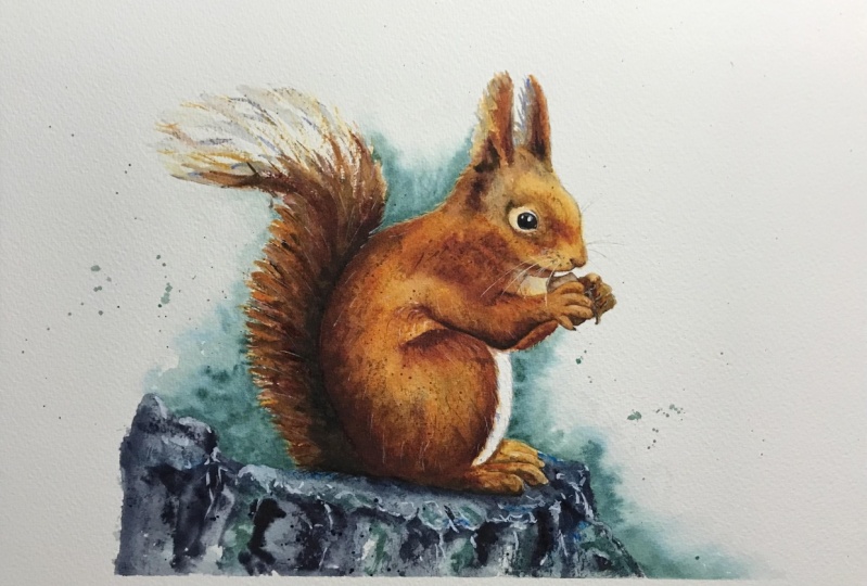 Red squirrels