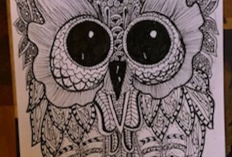 Doodled owl
