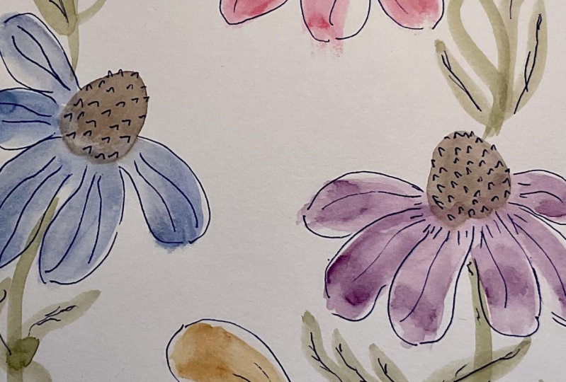 Coneflowers
