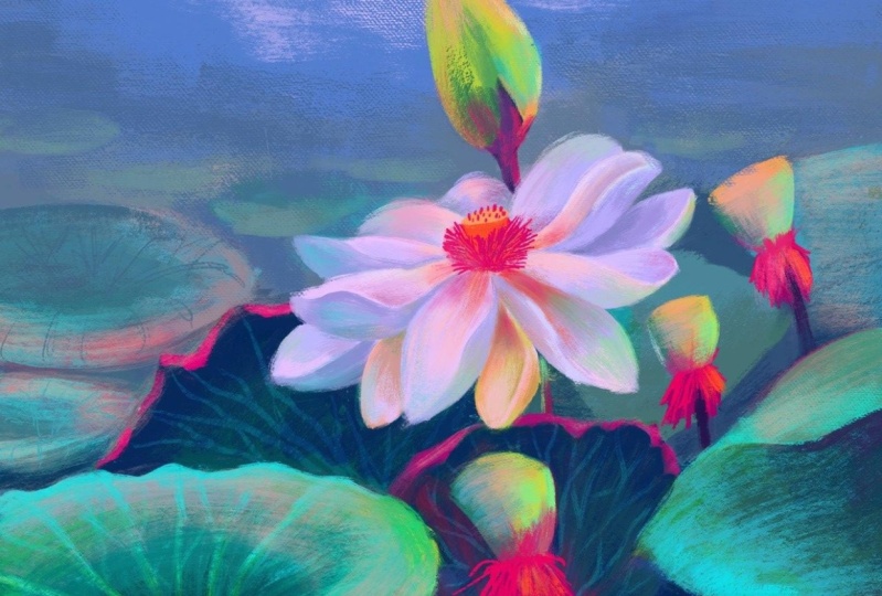 Lotus