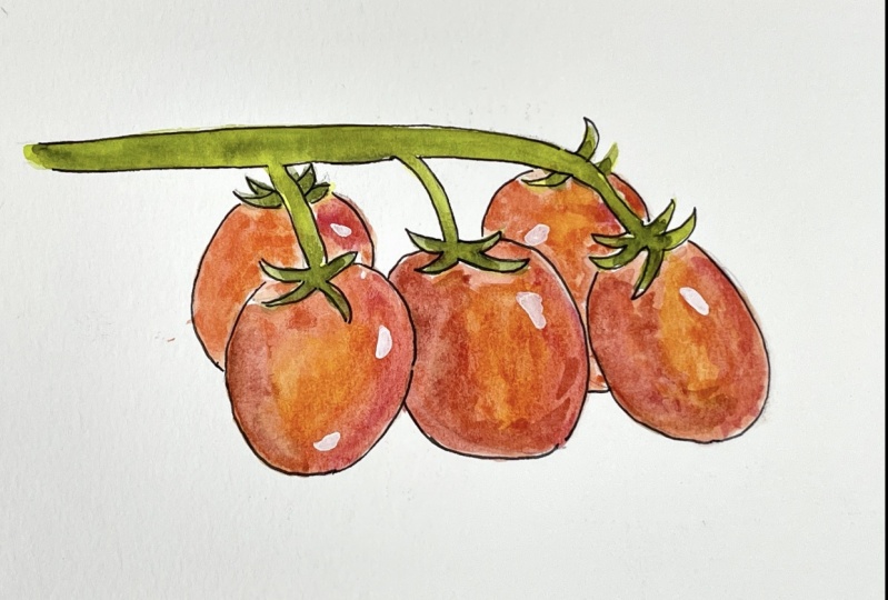Watercolor Tomatoes