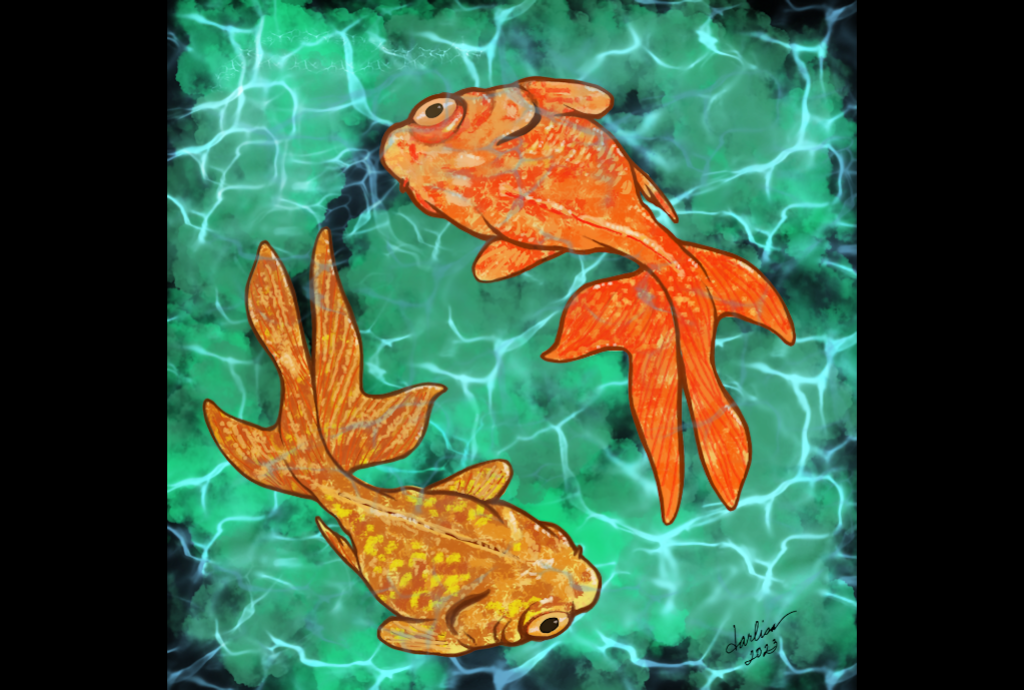 Two Goldfish - student project