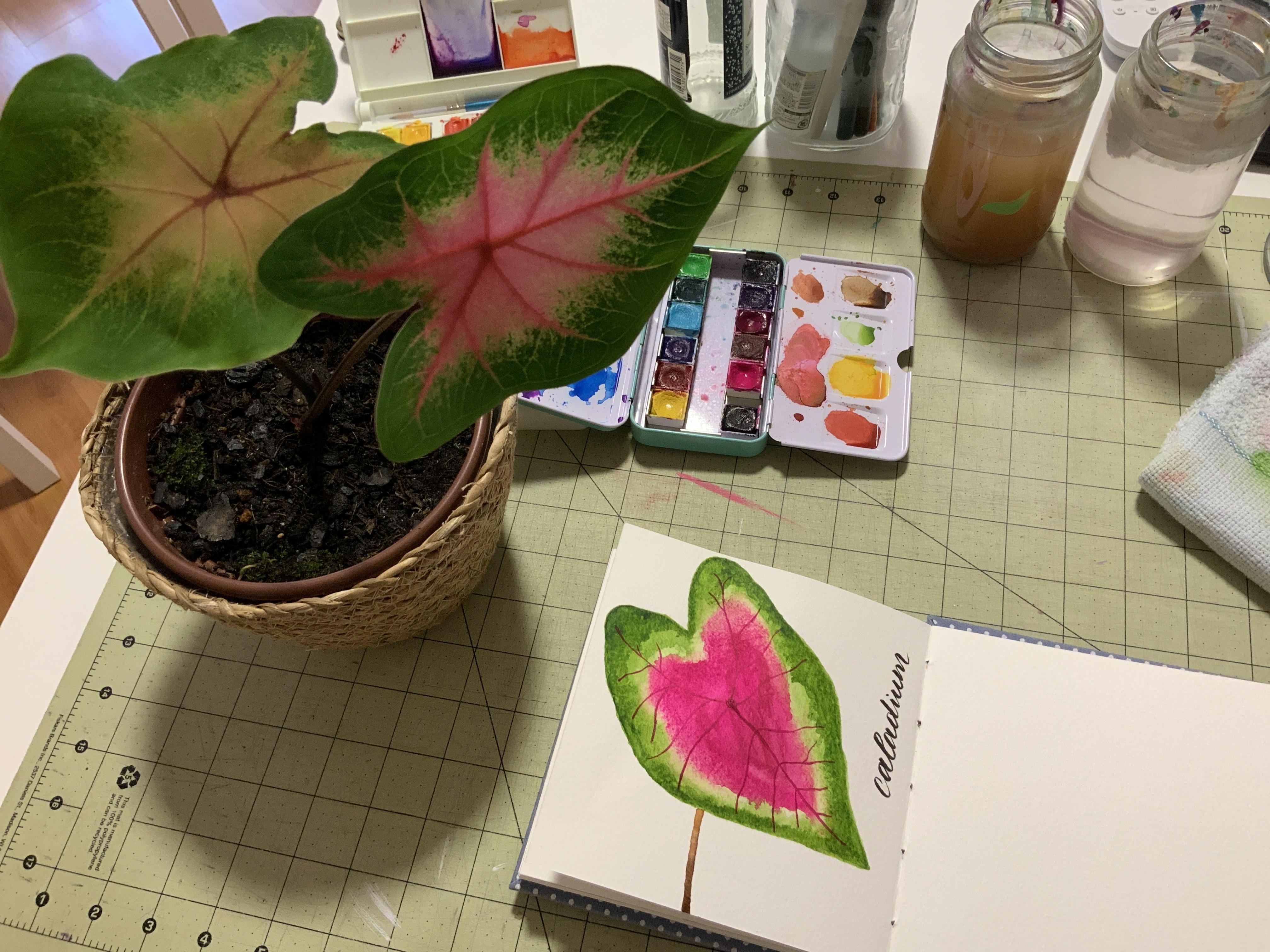 more-projects-from-class-img