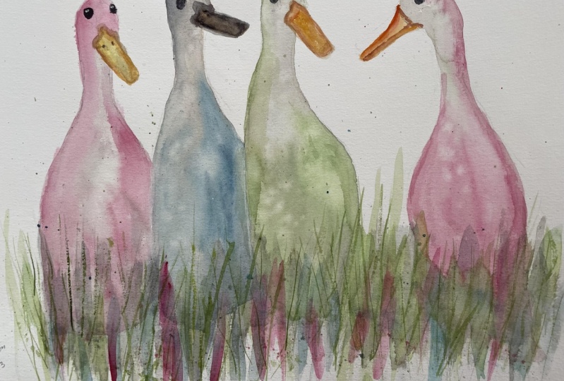 Runner ducks