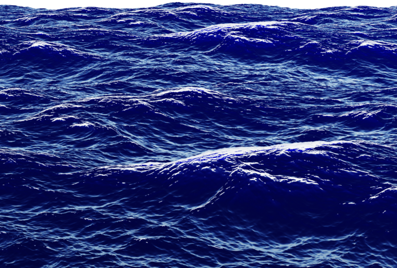 Sea Project