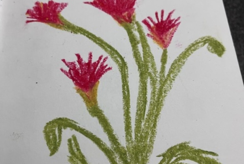 Poppies