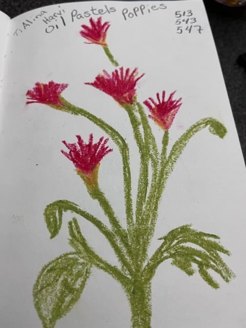 Poppies - student project