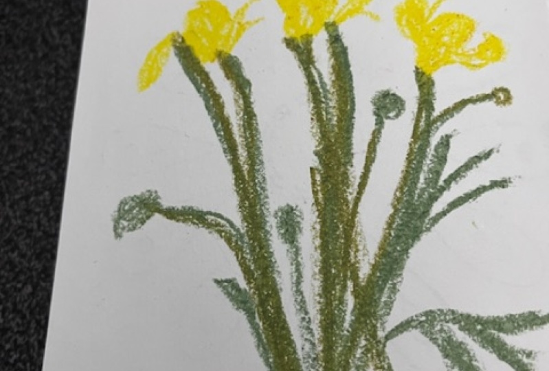 Buttercups