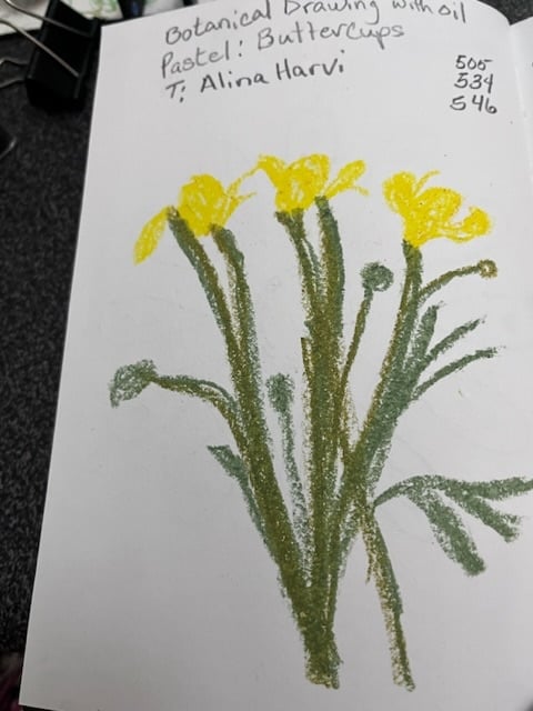 Buttercups - student project