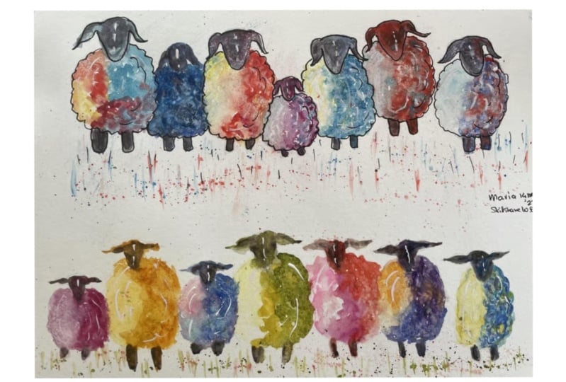 Sheep