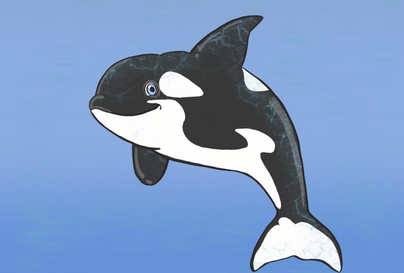 Cute Orca