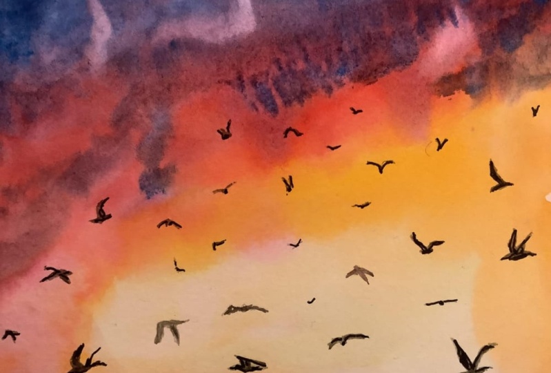 Birds in the sky