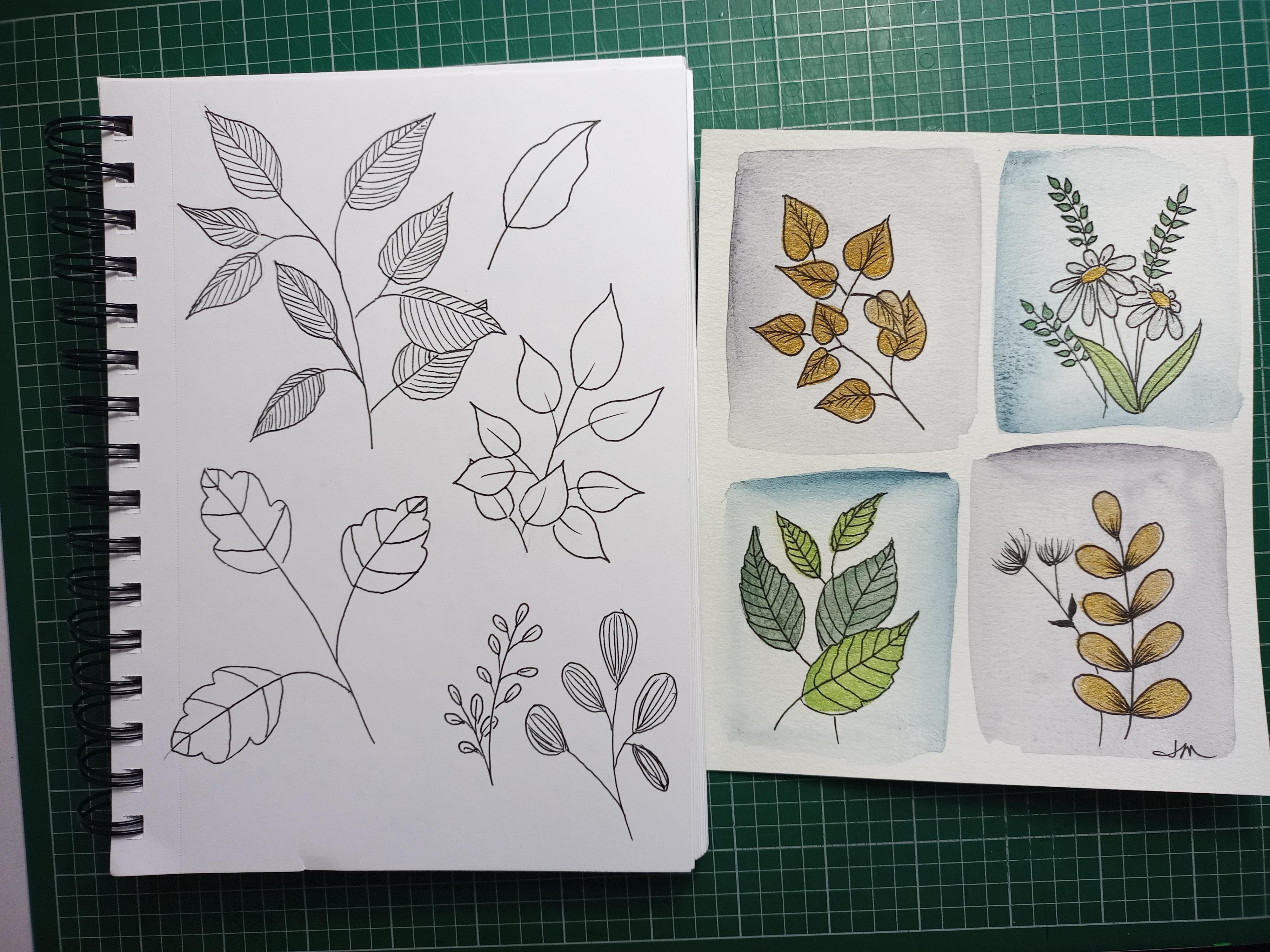 ink and watercolour - student project