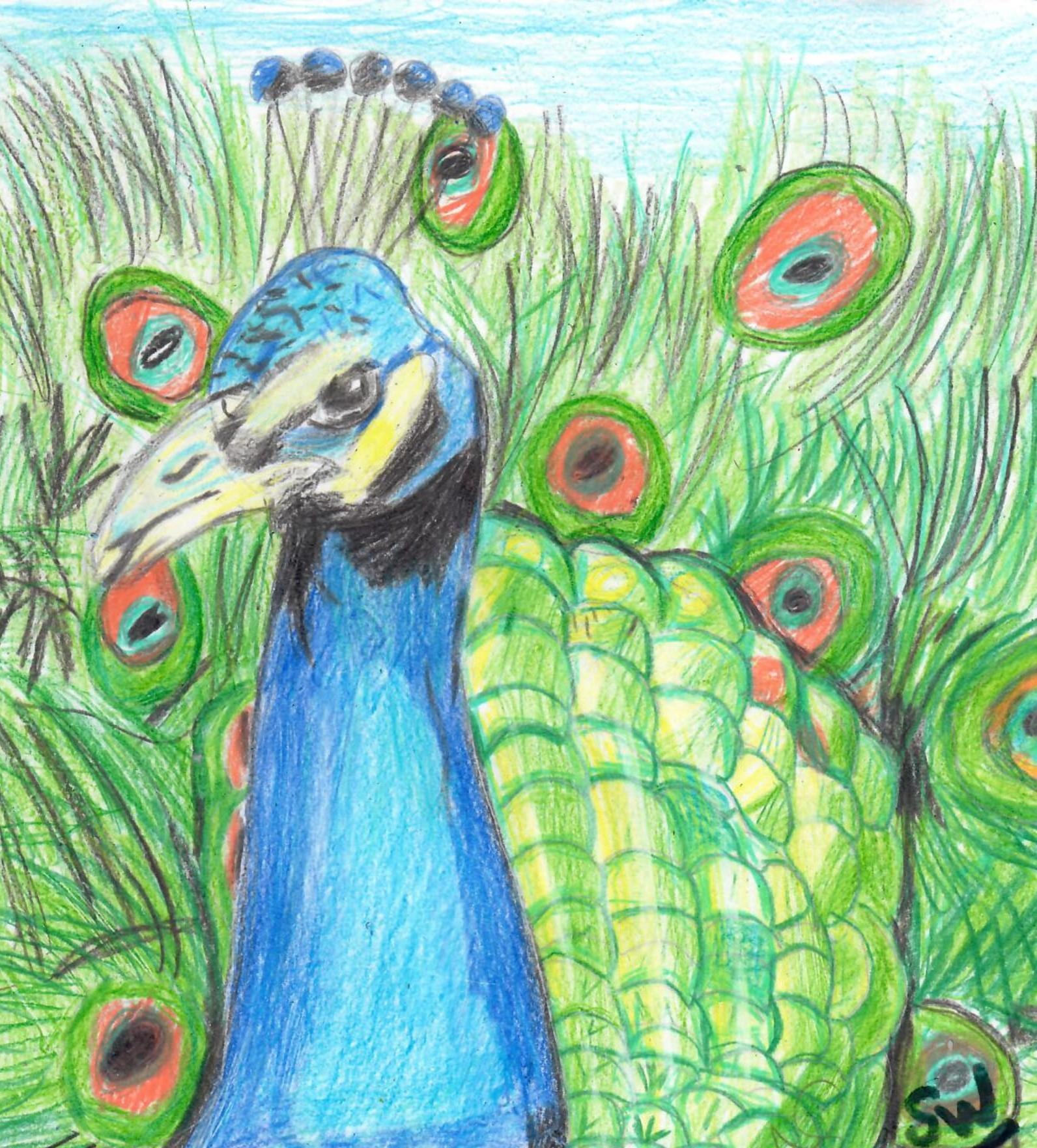 more-projects-from-class-img