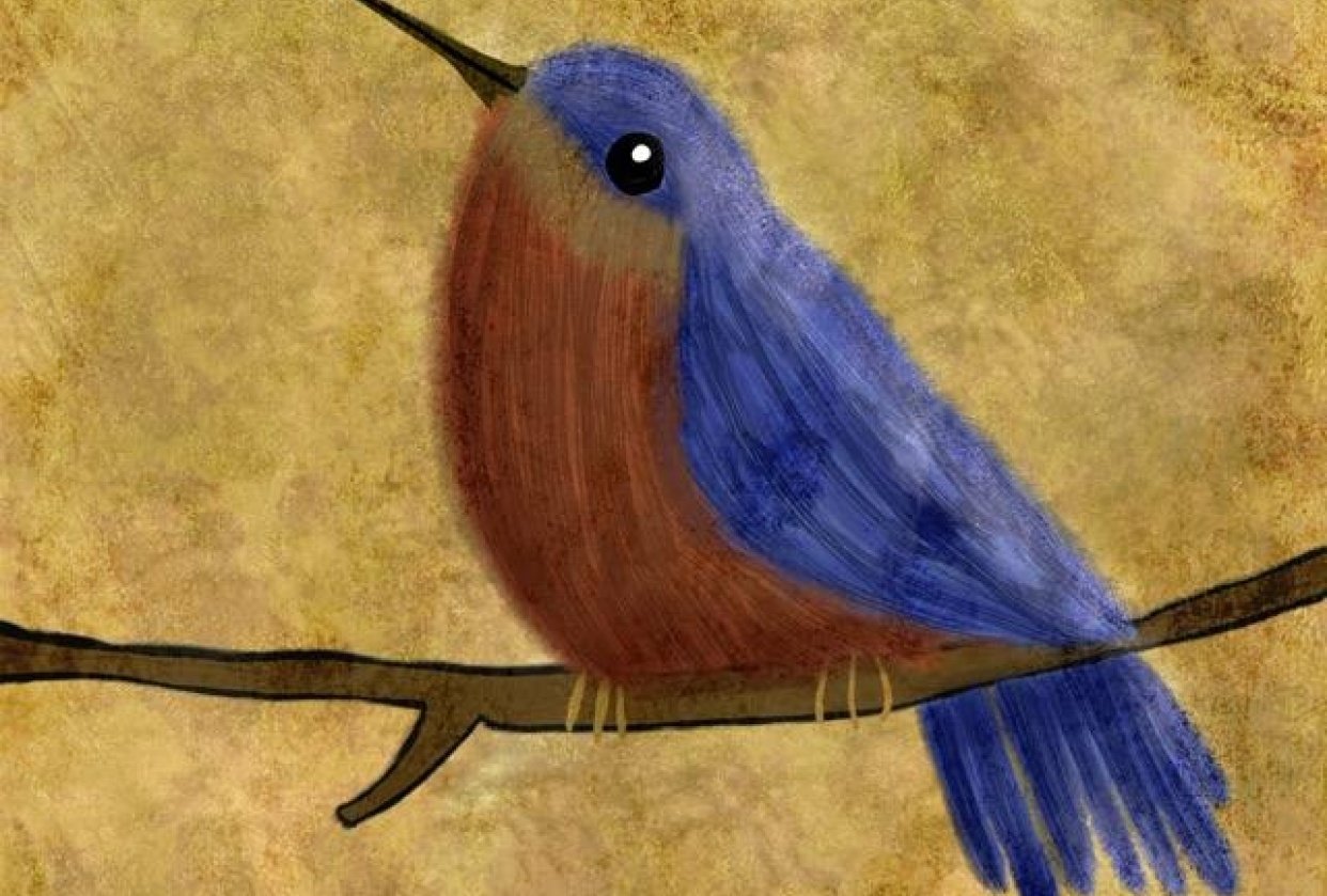 Draw Birds - student project