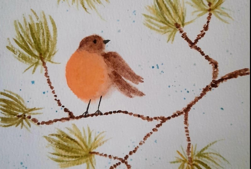 Little bird