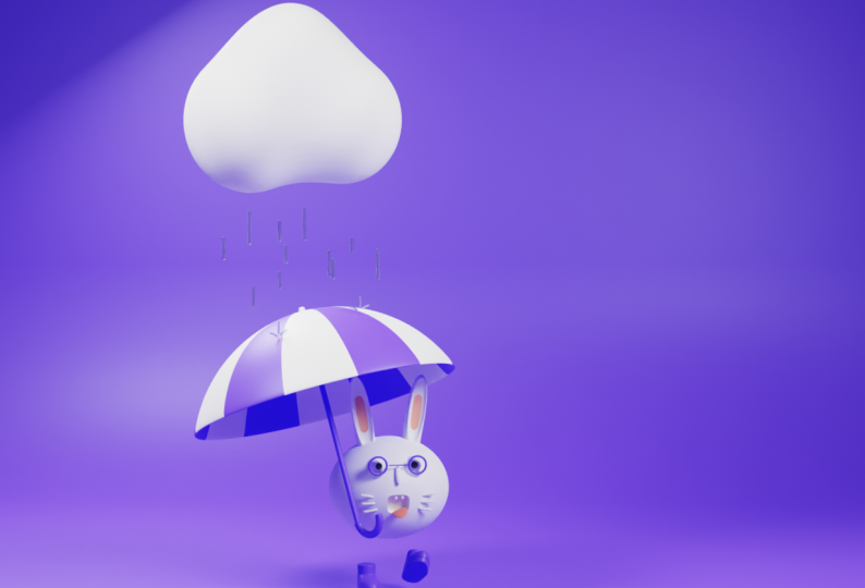 bunny