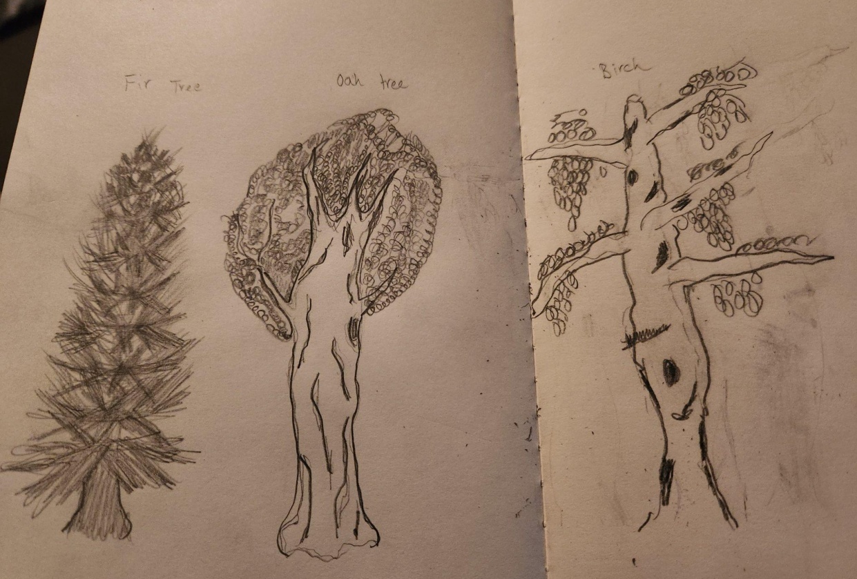 Trees - student project