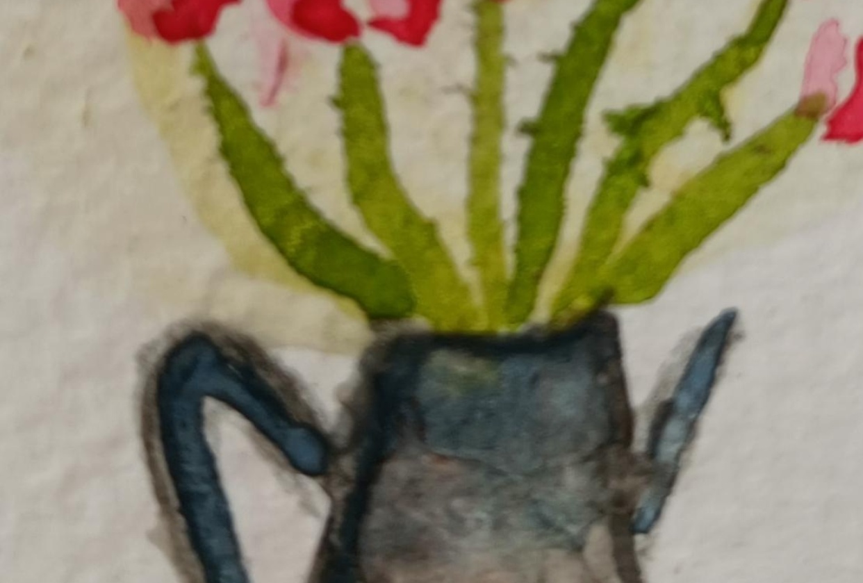 Miniature tulips spring flowers floral - student project