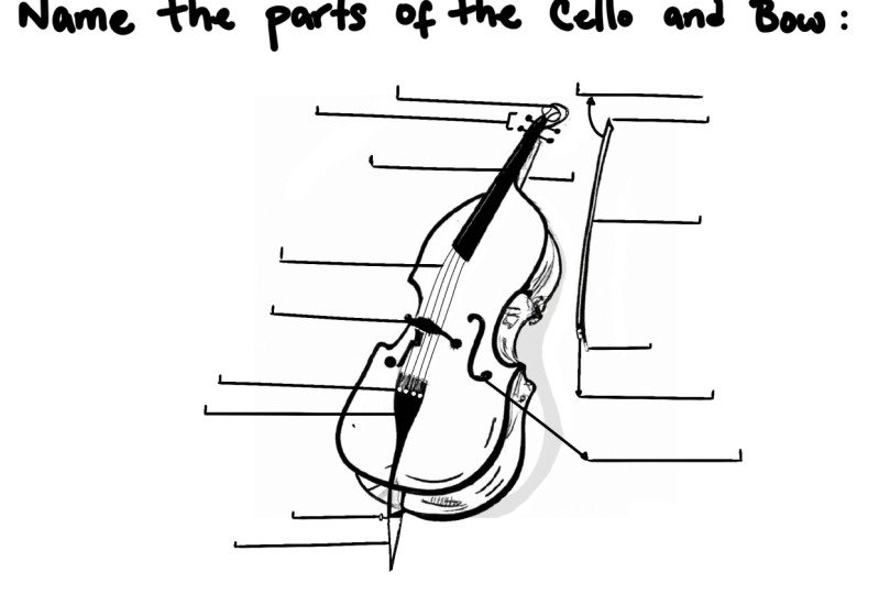 A Basic Beginner Guide to Really Know the Cello Parts, Functionality