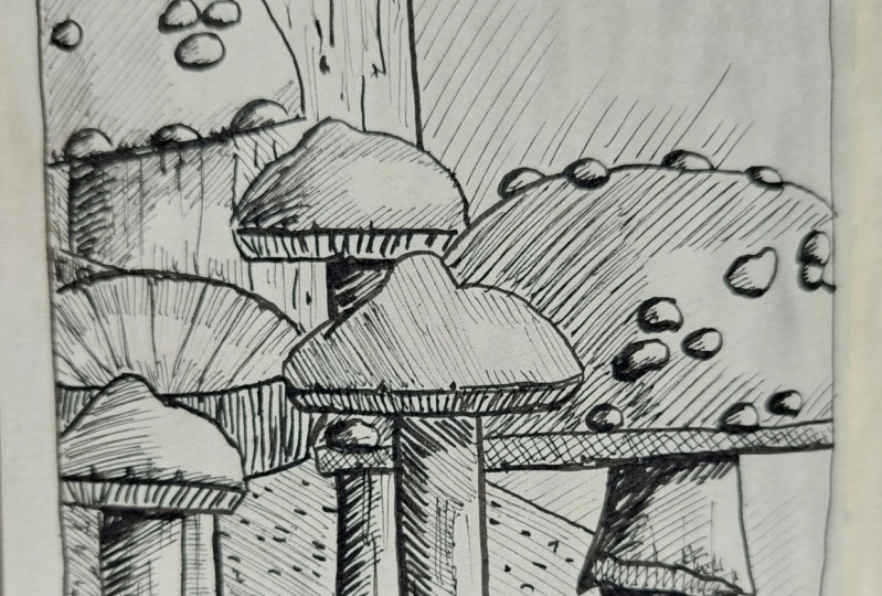 exercise of mushrooms in pen