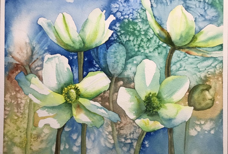 Anemones