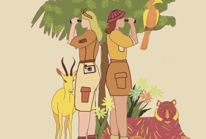 Safari